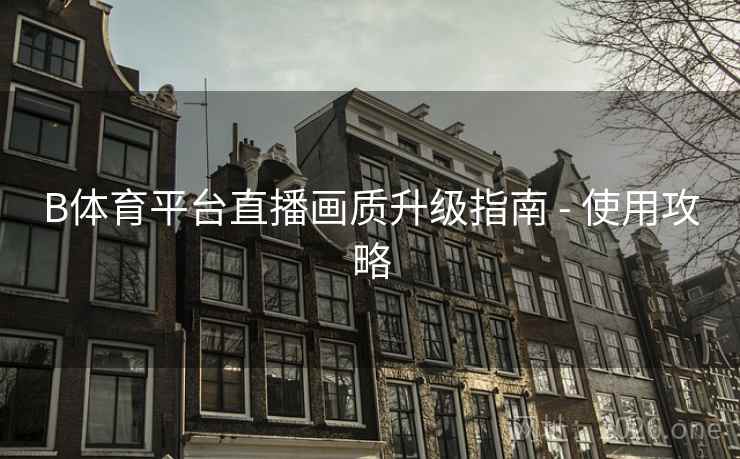 B体育平台直播画质升级指南 - 使用攻略