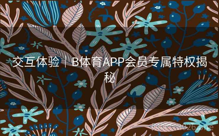 交互体验｜B体育APP会员专属特权揭秘