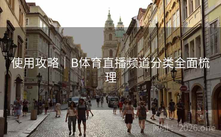 使用攻略｜B体育直播频道分类全面梳理