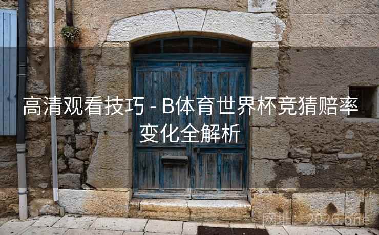 高清观看技巧 - B体育世界杯竞猜赔率变化全解析
