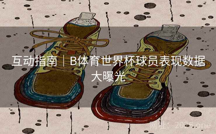 互动指南｜B体育世界杯球员表现数据大曝光