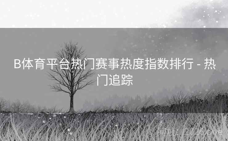 B体育平台热门赛事热度指数排行 - 热门追踪