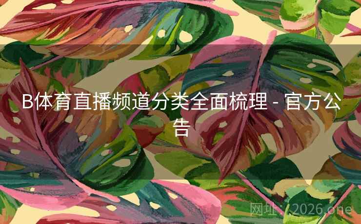 B体育直播频道分类全面梳理 - 官方公告
