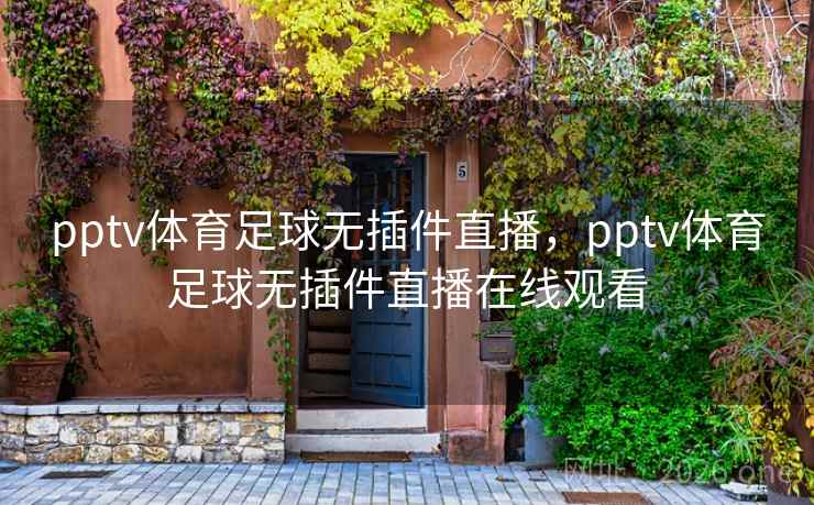 pptv体育足球无插件直播，pptv体育足球无插件直播在线观看